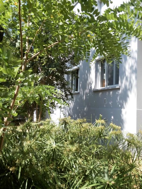 Grand Studio Proche Transport Montpellier Exterior photo